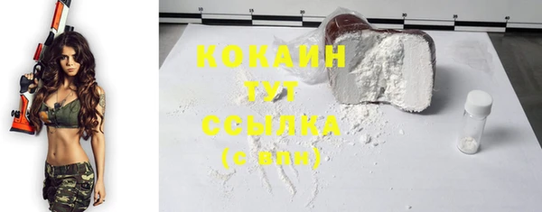 соль ск Алексин