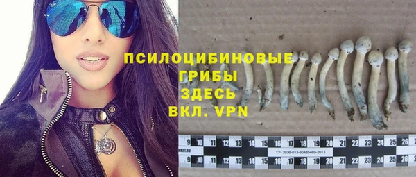 соль ск Алексин