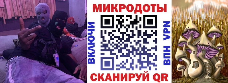 площадка какой сайт  Жуковка  Галлюциногенные грибы GOLDEN TEACHER 
